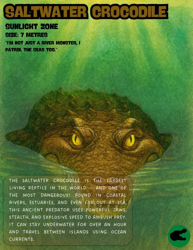 Saltwater crocodile