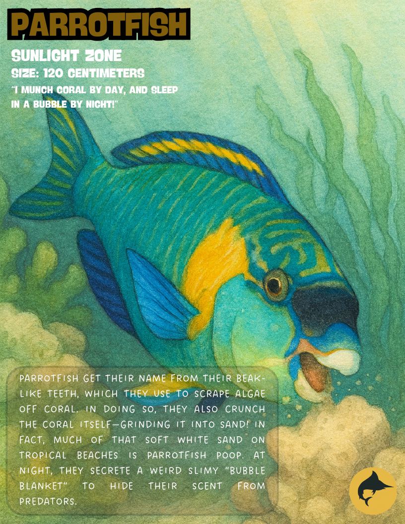 Parrotfish