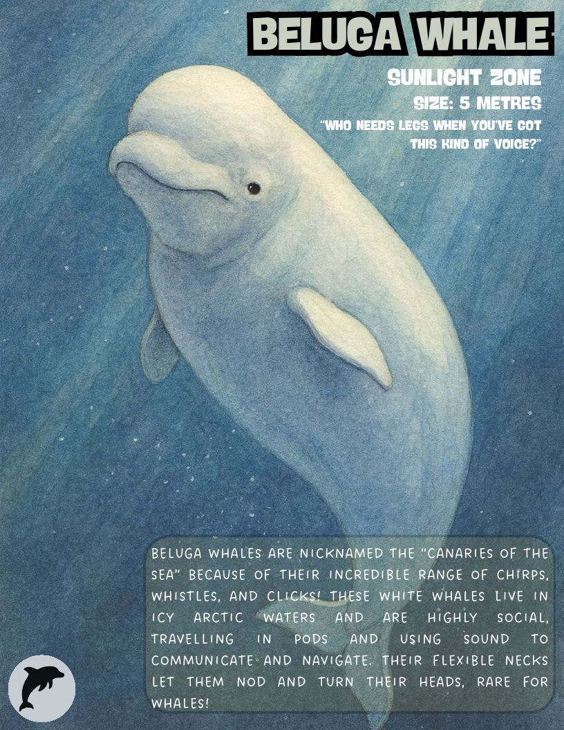 Beluga whale
