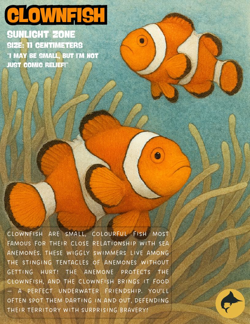 Clownfish