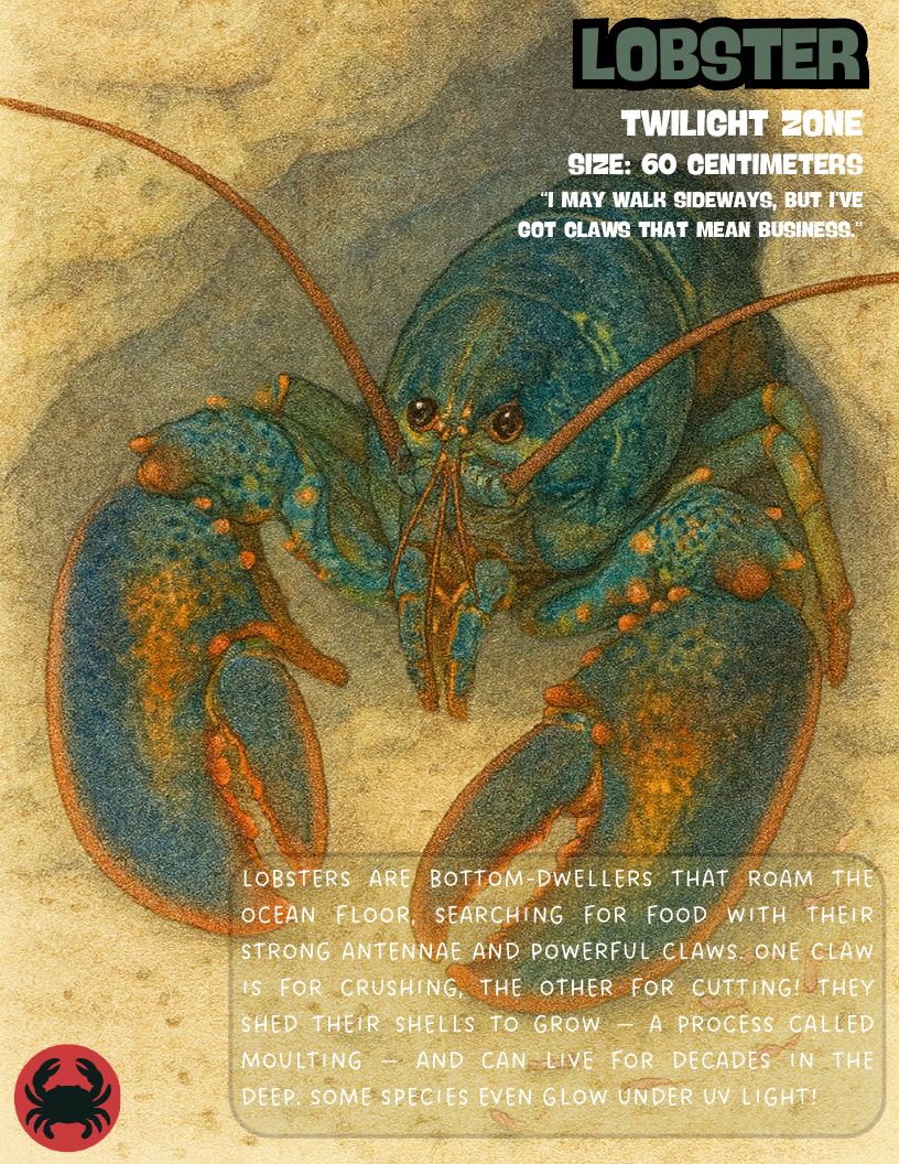 Lobster